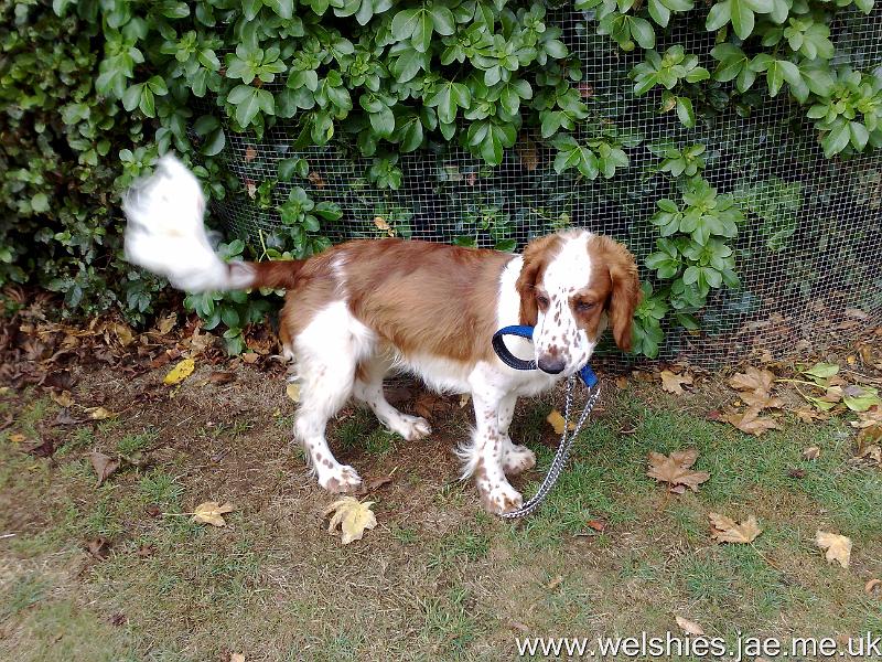 2009-10-10 02.jpg - Still on a lead...